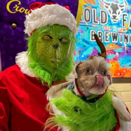 GRINCH HOLIDAY  PUPPY PHOTO SHOOT